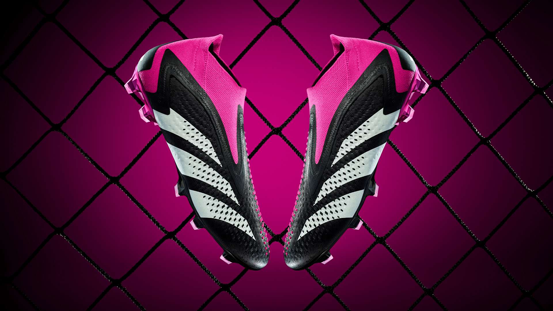 钱飞翔从少 钱飞翔从少